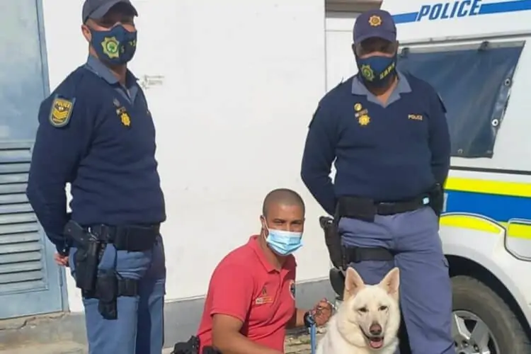 Tsitsikamma's K9 Unit safely returns 2-year-old missing girl in Knysna