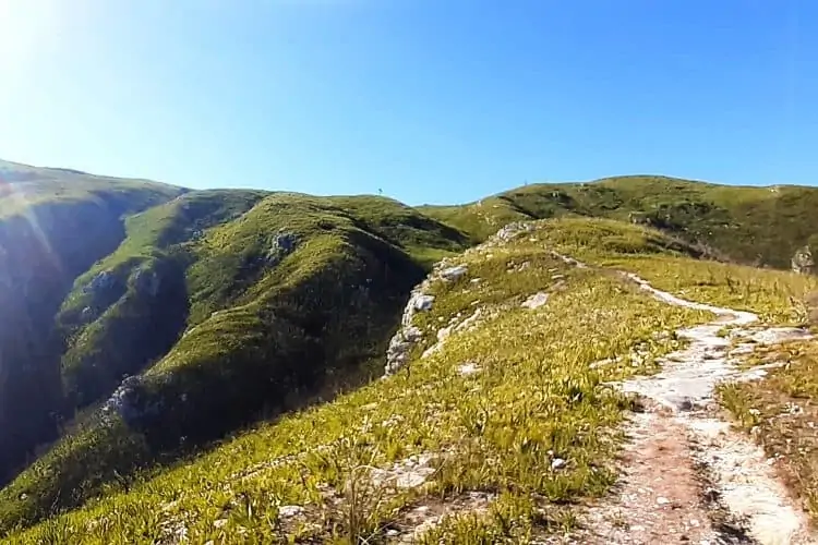 Hiking the Cradock and George Peak Trails