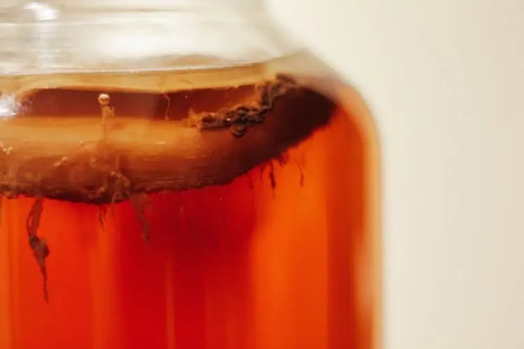 What is Kombucha?