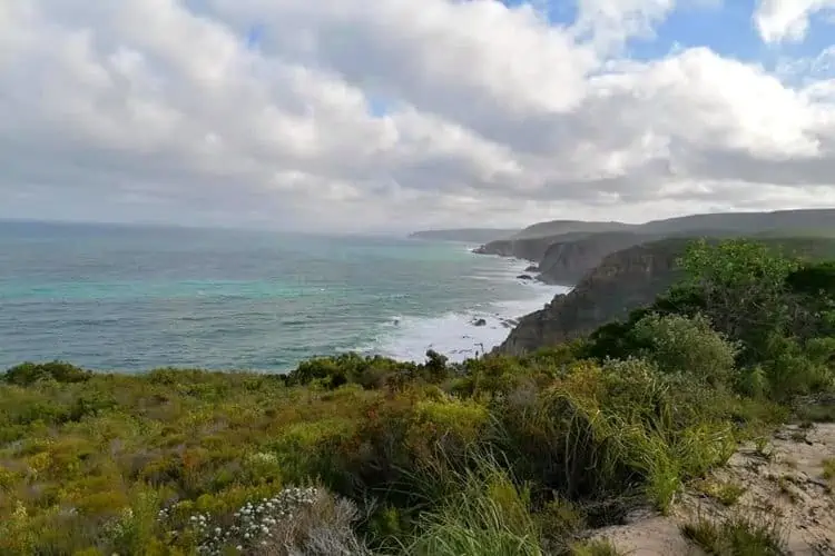 Explore the Outdoors: Hiking the Otter Trail