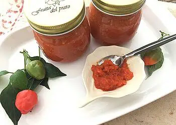 Peppadew Chutney